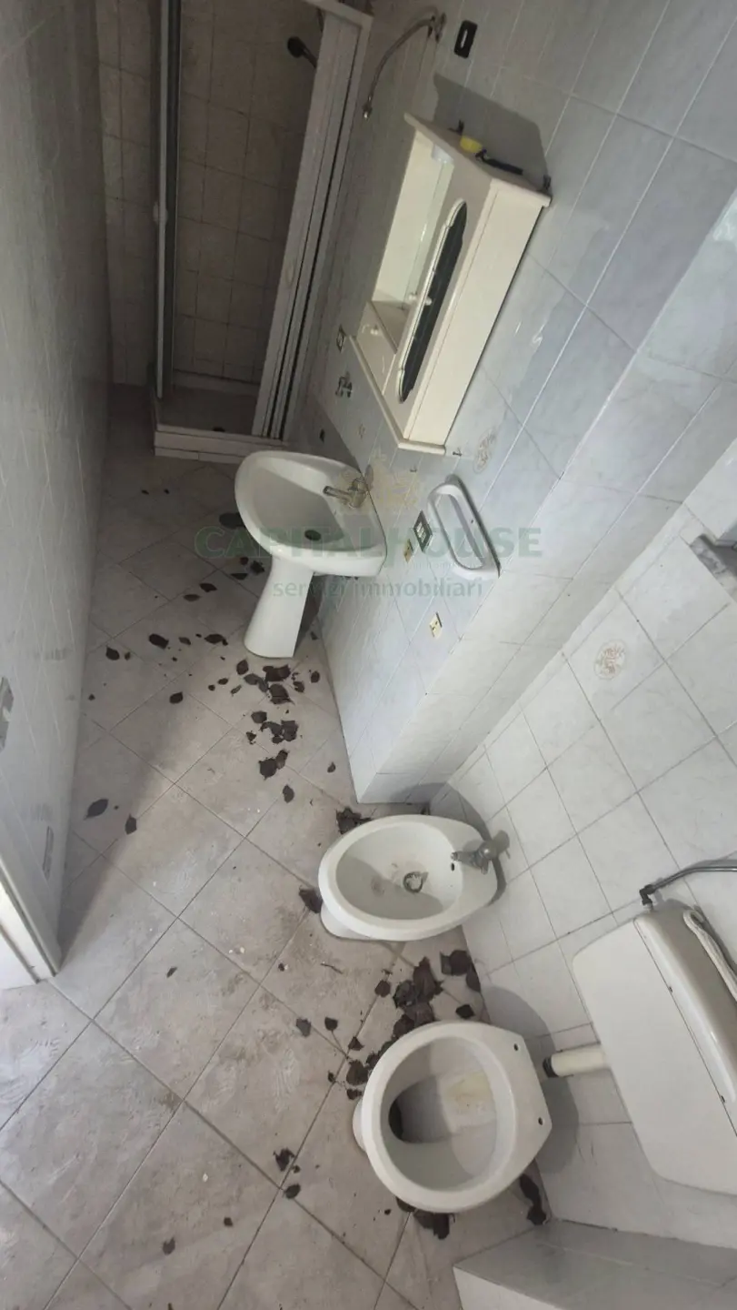 Immagine per Casa indipendente in vendita a San Tammaro