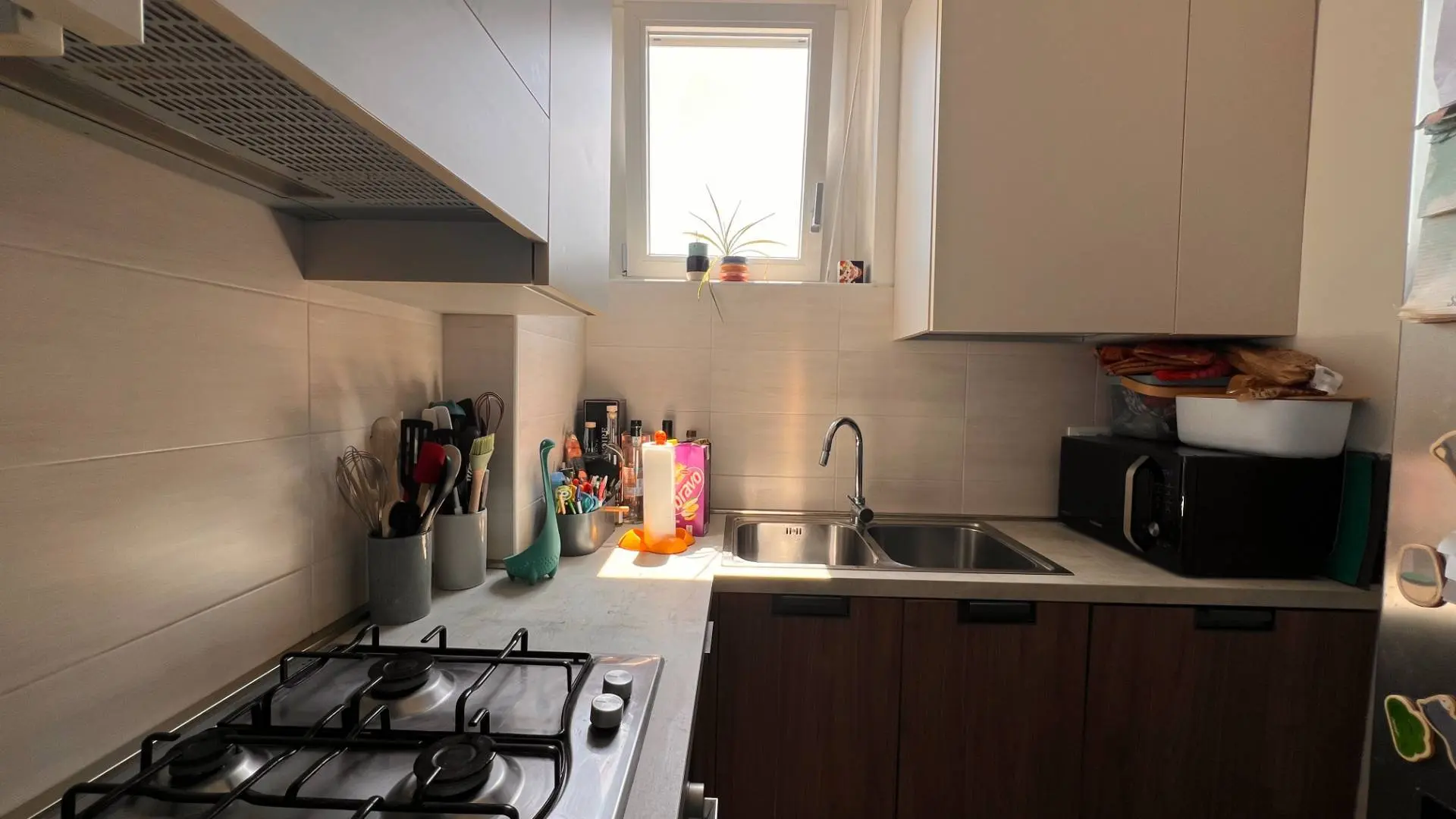 Immagine per Casa Semindipendente in affitto a Torino Corso Orbassano 245