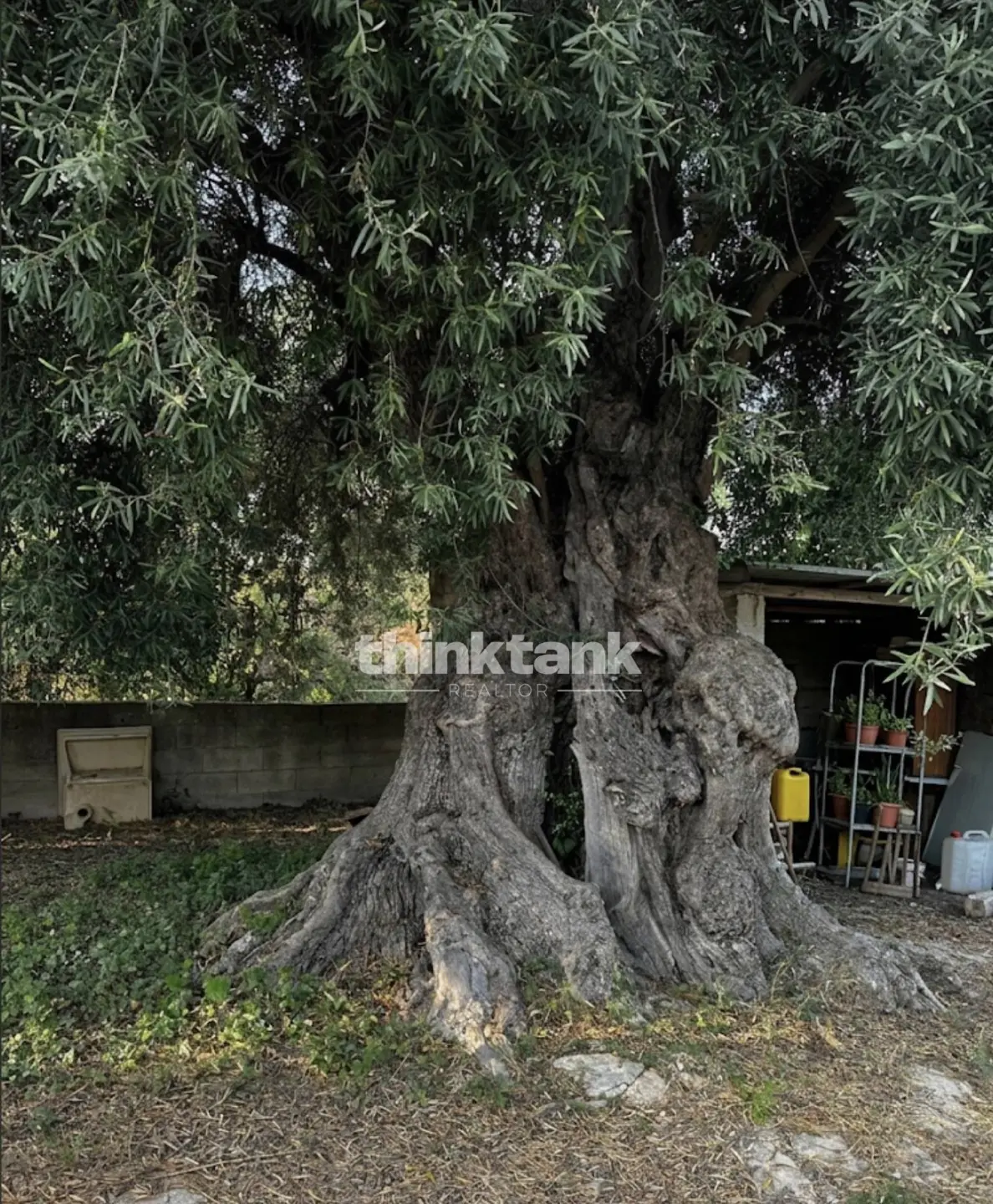 Immagine per Villa in vendita a Avola Strada Comunale Petrara 