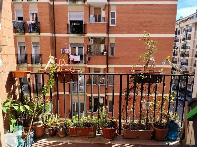 Immagine per Appartamento in vendita a Roma VIA PIEVE FOSCIANA 93