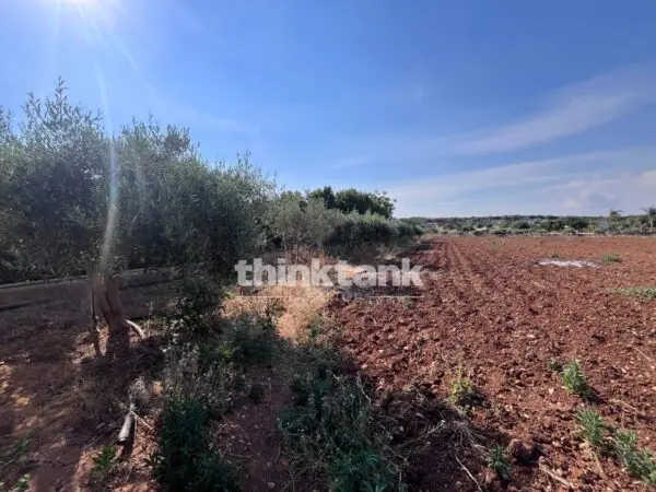 Terreno Edificabile strada Provinciale 44, Scicli