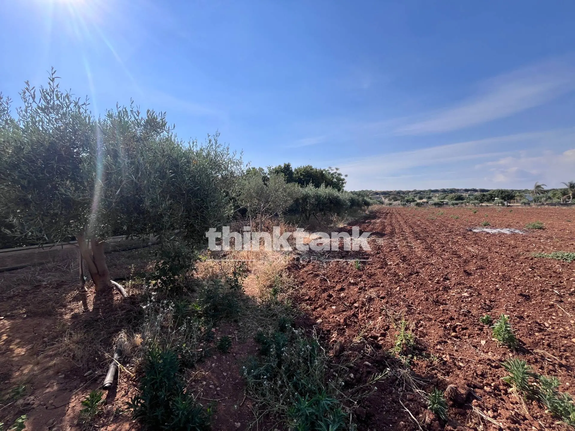 Immagine per Terreno Edificabile in vendita a Scicli Strada Provinciale 44 