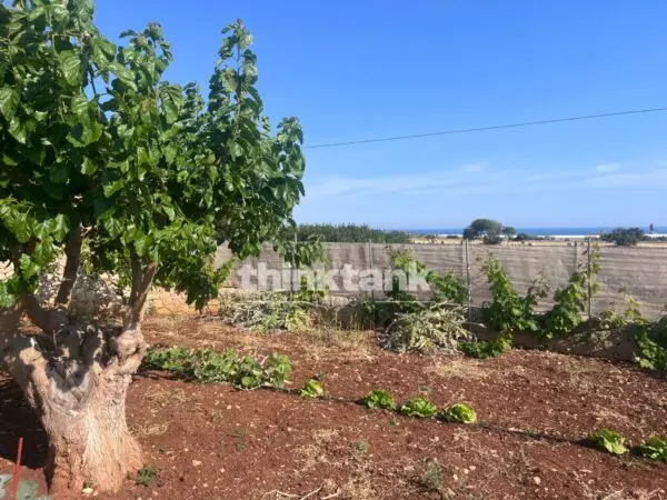 Terreno Edificabile strada Provinciale 44, Scicli