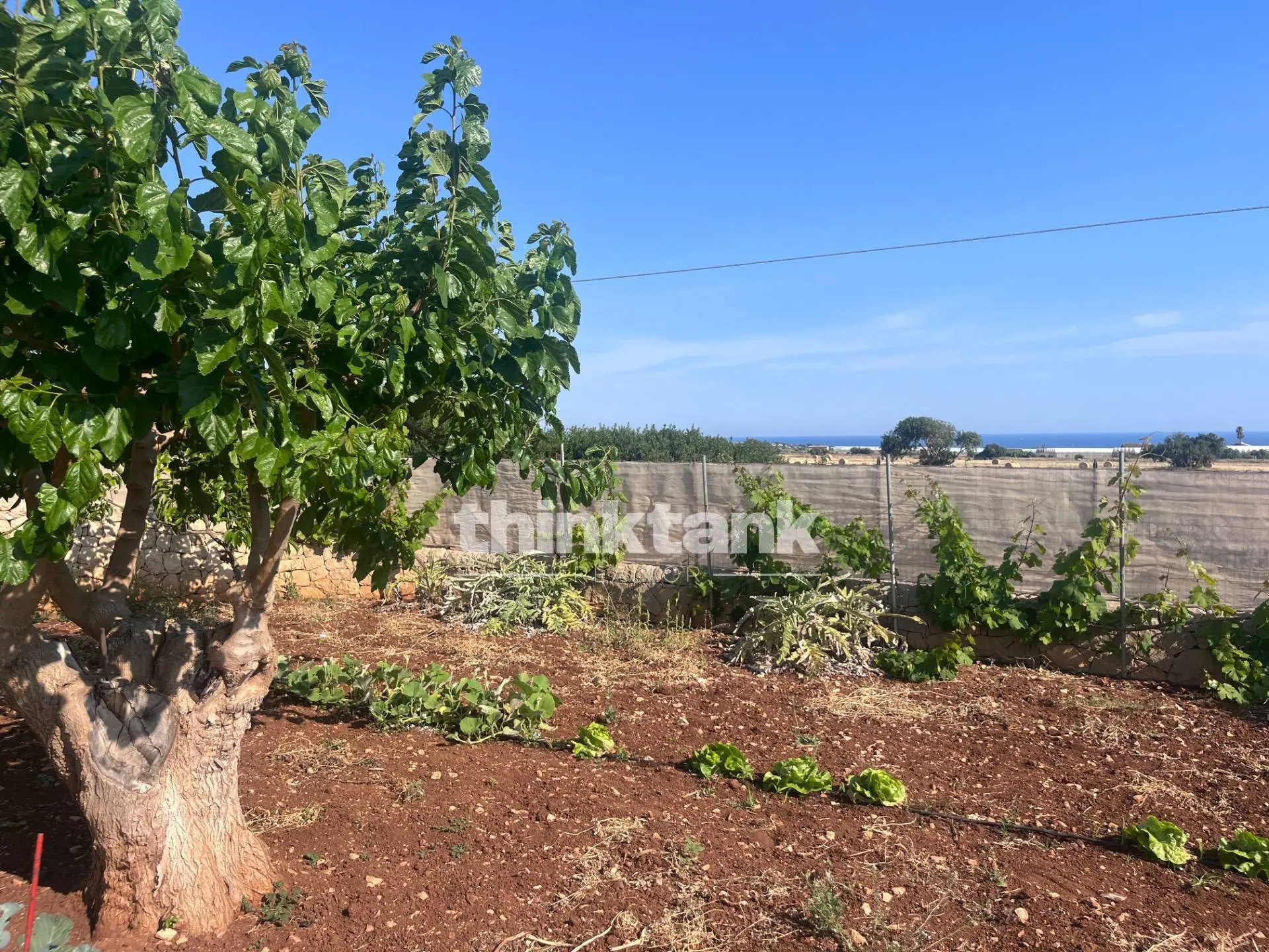 Immagine per Terreno Edificabile in vendita a Scicli Strada Provinciale 44 