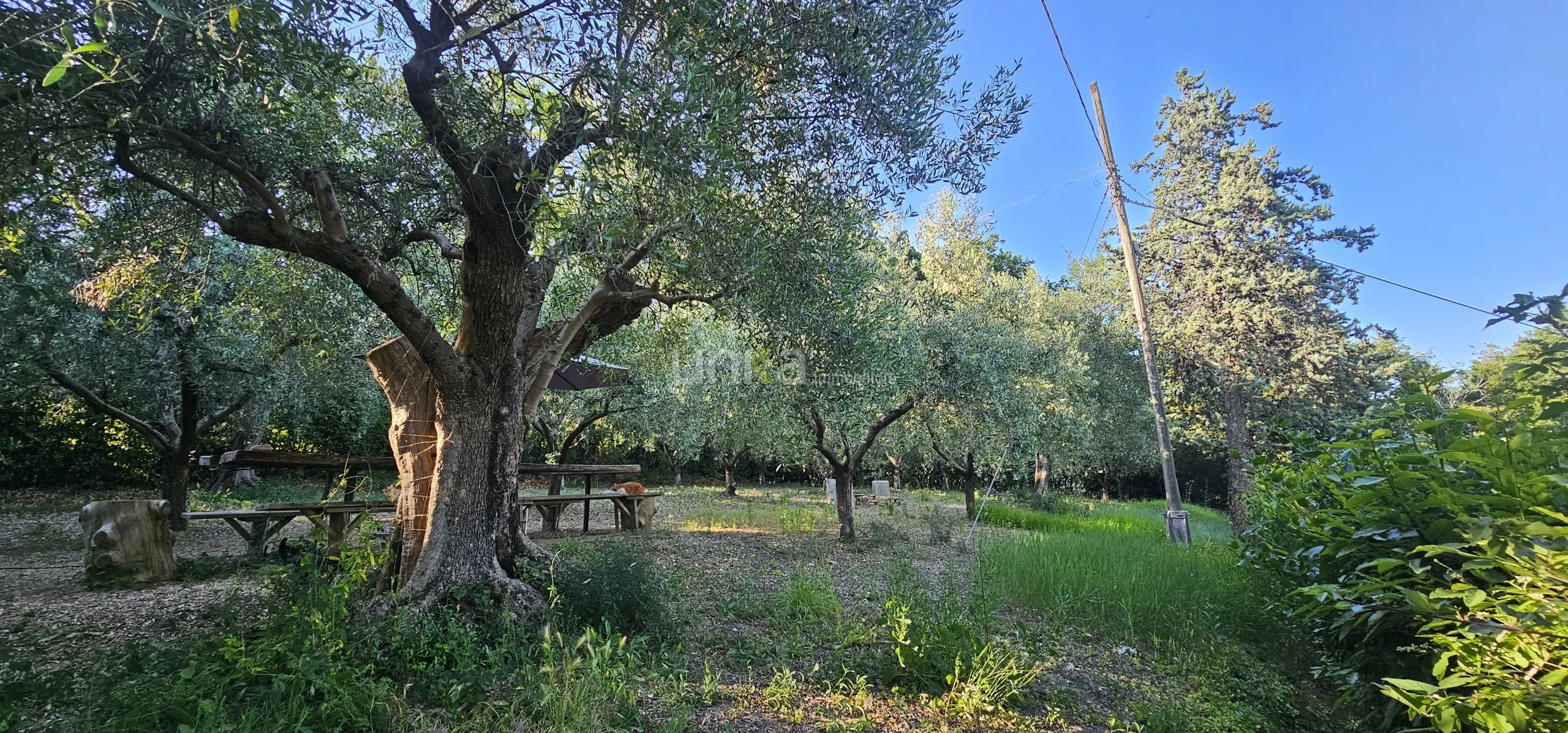 Immagine per Villa trifamiliare in vendita a Jesi via Santa Lucia snc
