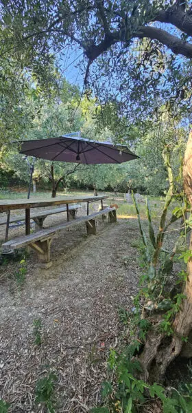 Villa Trifamiliare via Santa Lucia Snc, Jesi