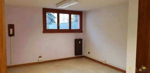 Immagine per Area verde in affitto a Parma via Duccio Galimberti 16