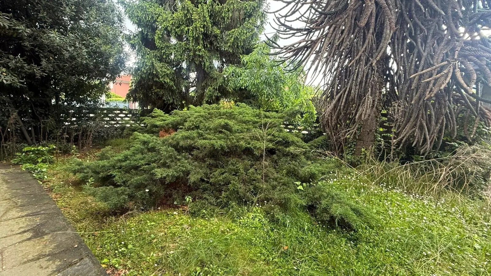 Immagine per Villa in vendita a Nole via Chiappè 14