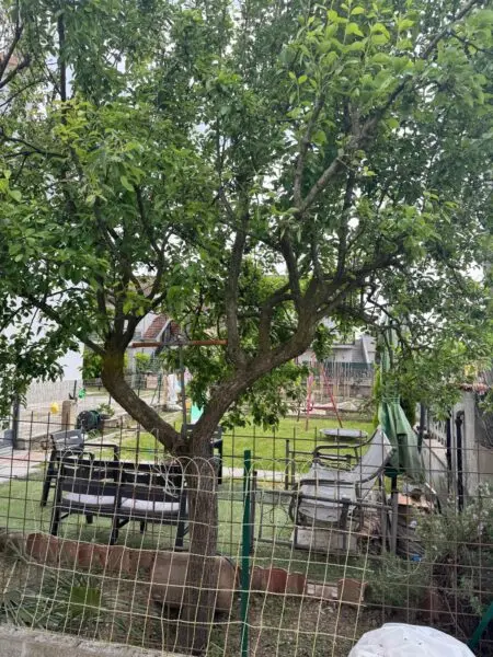Quadrilocale via Fornaci 66, Settimo Torinese