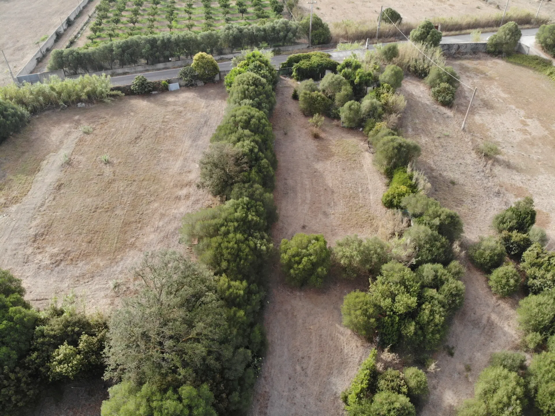 Immagine per Villa trifamiliare in vendita a San Sperate via Decimo