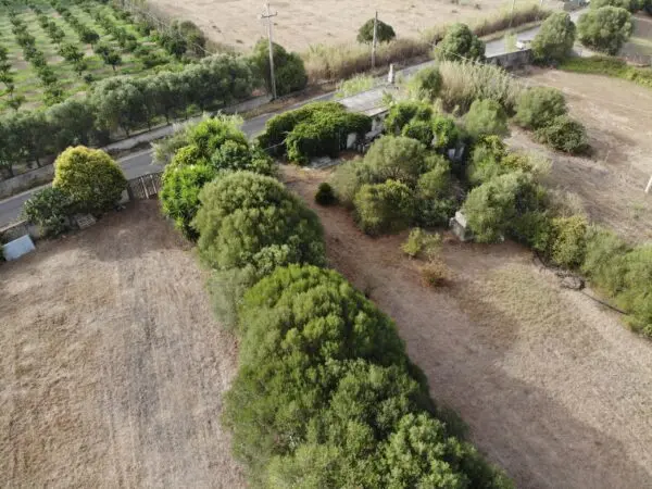 Immagine per Villa trifamiliare in vendita a San Sperate via Decimo