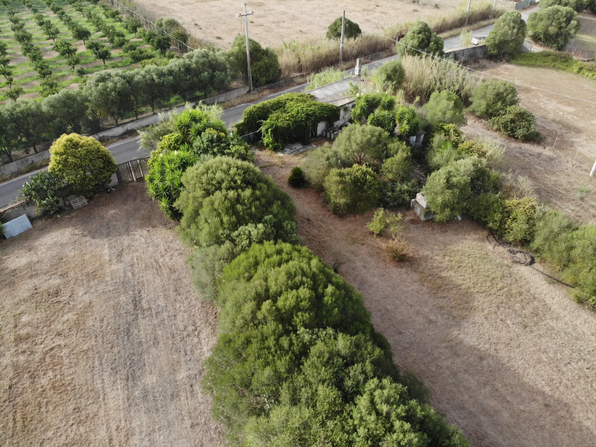 Immagine per Villa trifamiliare in vendita a San Sperate via Decimo