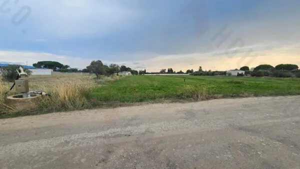 Immagine per Area verde in vendita a Quartu Sant'Elena strada Comunale Buon Cammino