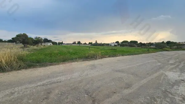 Immagine per Area verde in vendita a Quartu Sant'Elena strada Comunale Buon Cammino