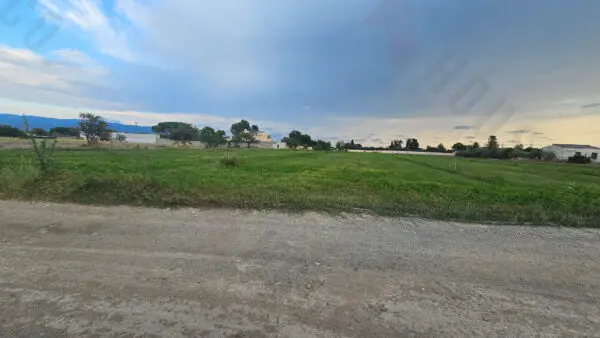 Immagine per Area verde in vendita a Quartu Sant'Elena strada Comunale Buon Cammino