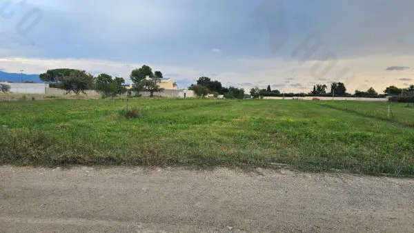 Immagine per Area verde in vendita a Quartu Sant'Elena strada Comunale Buon Cammino