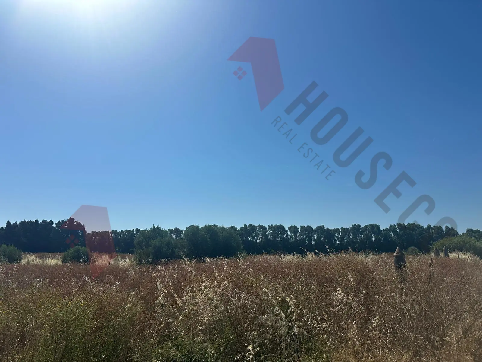 Immagine per Agricolo in vendita a Quartu Sant'Elena strada Vicinale San Gaetano