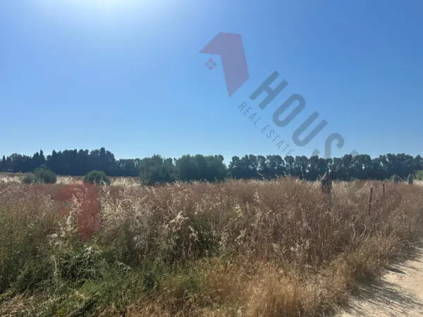 Immagine per Agricolo in vendita a Quartu Sant'Elena strada Vicinale San Gaetano