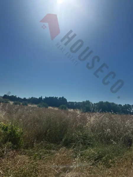 Immagine per Agricolo in vendita a Quartu Sant'Elena strada Vicinale San Gaetano