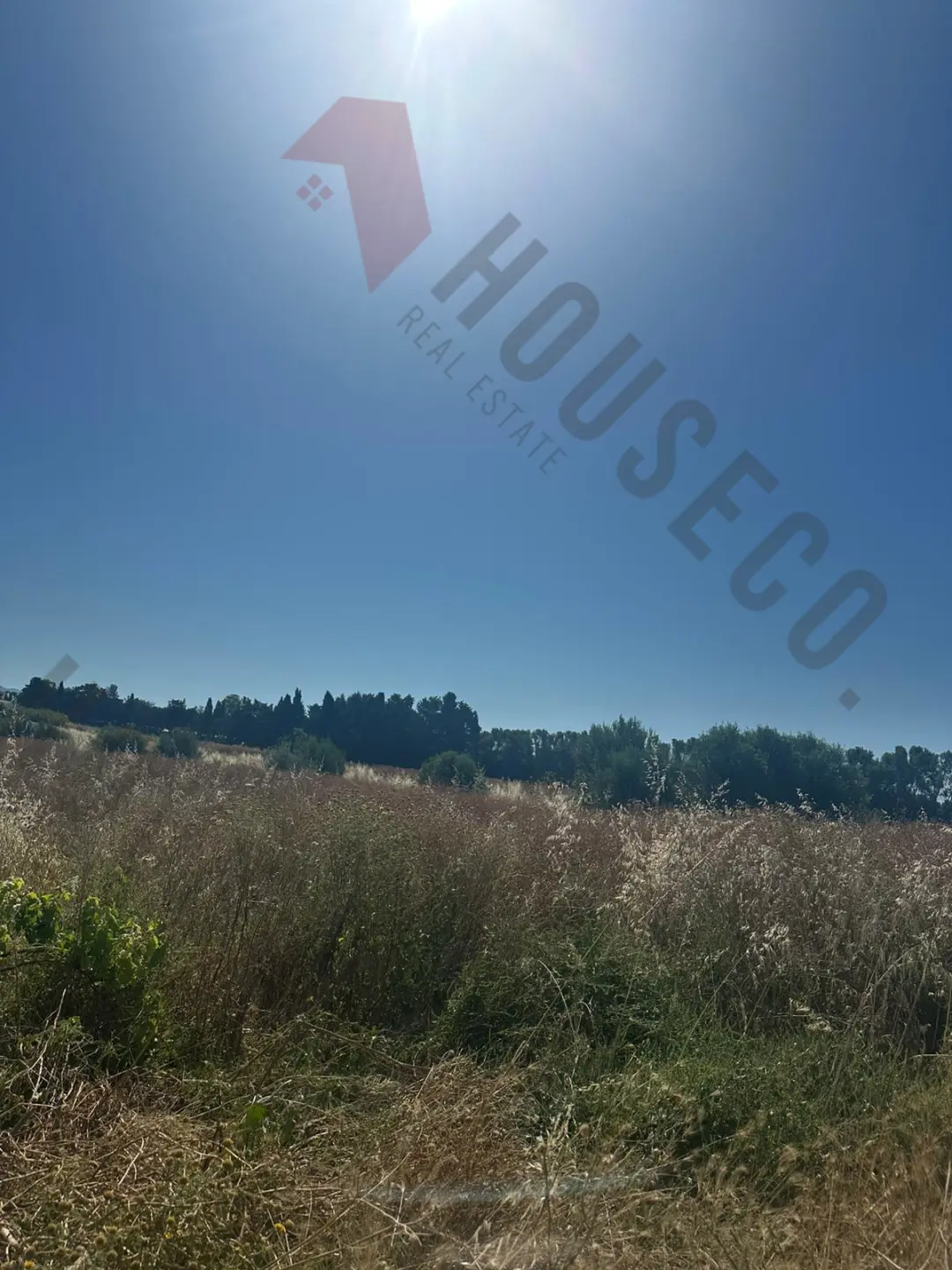 Immagine per Agricolo in vendita a Quartu Sant'Elena strada Vicinale San Gaetano