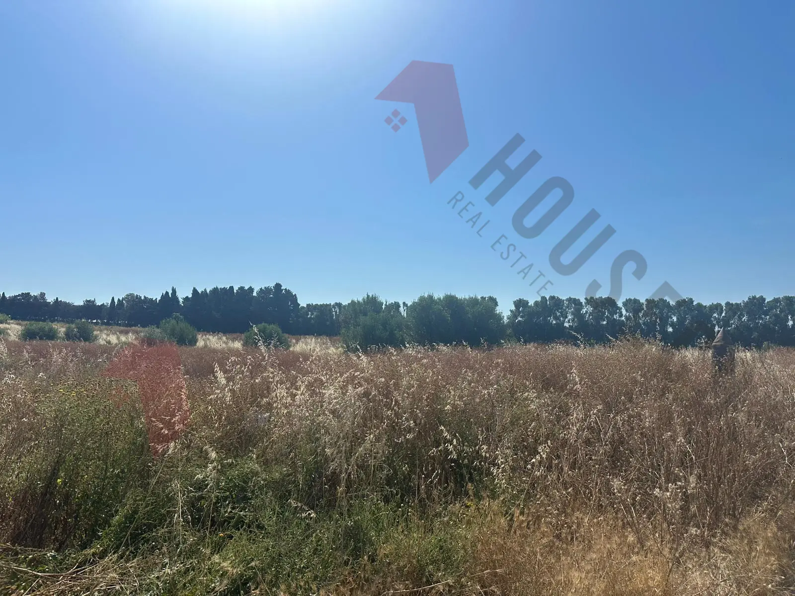 Immagine per Agricolo in vendita a Quartu Sant'Elena strada Vicinale San Gaetano