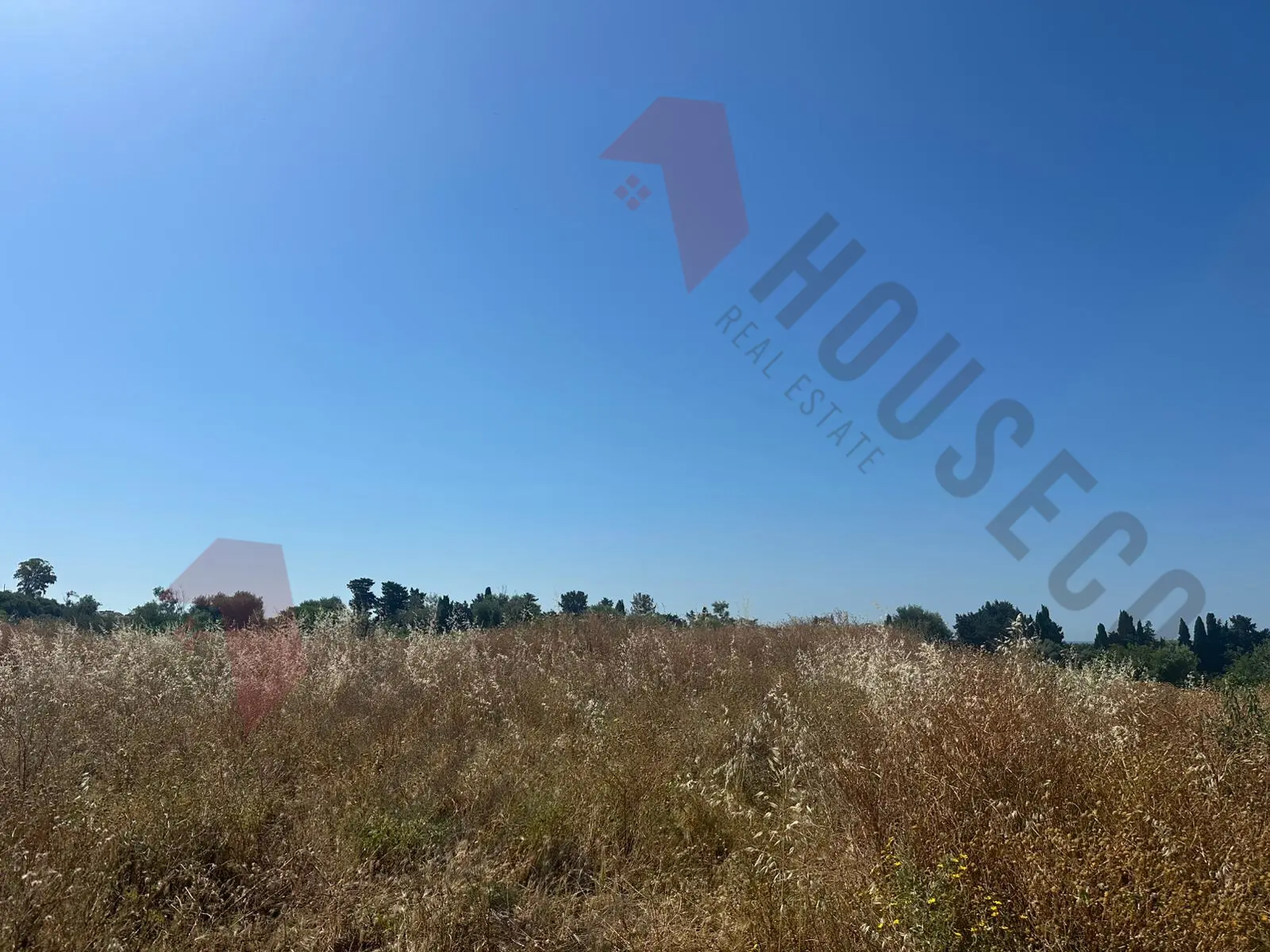 Immagine per Terreno in vendita a Quartu Sant'Elena strada Vicinale San Gaetano