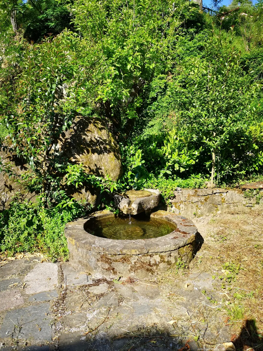 Immagine per Casale in vendita a Castelnuovo Magra via Molino Del Piano 1