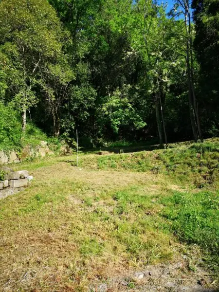 Immagine per Casale in vendita a Castelnuovo Magra via Molino Del Piano 1