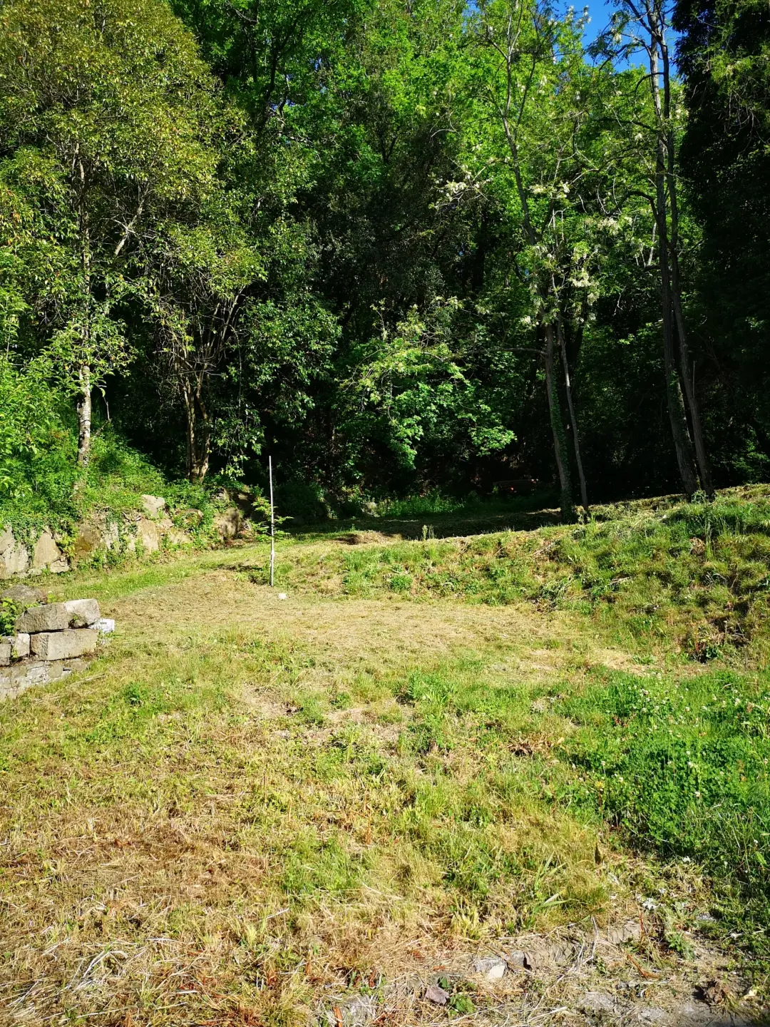 Immagine per Casale in vendita a Castelnuovo Magra via Molino Del Piano 1