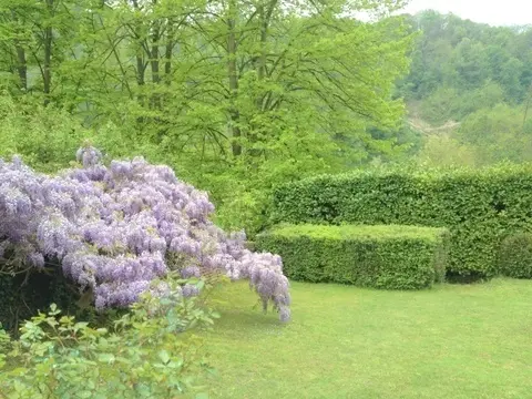 Immagine per Rustico in affitto a Torino strada Comunale Di Mongreno 158