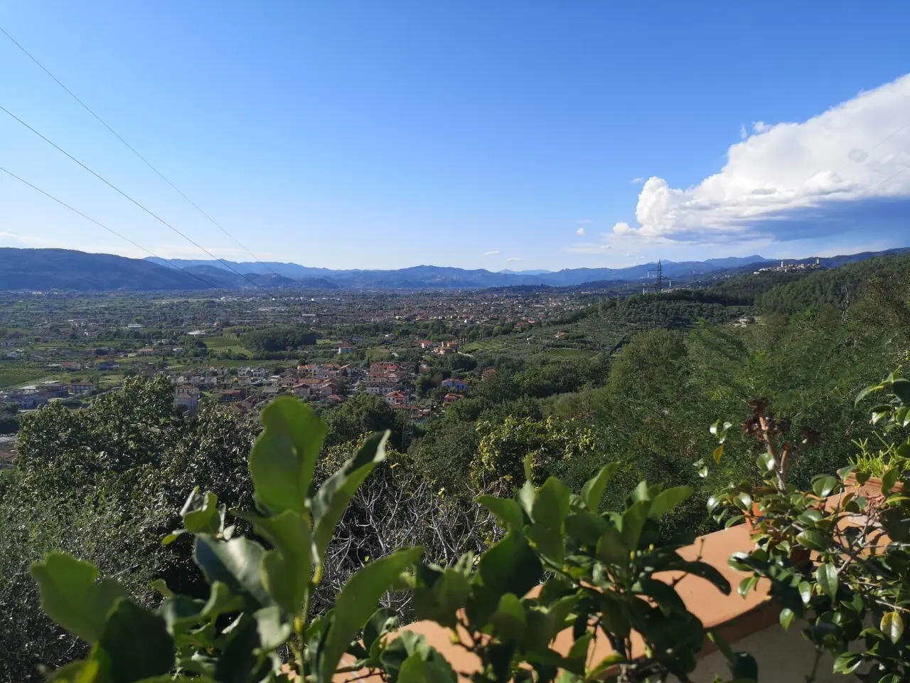 Immagine per Terratetto in vendita a Luni via Per Nicola 24