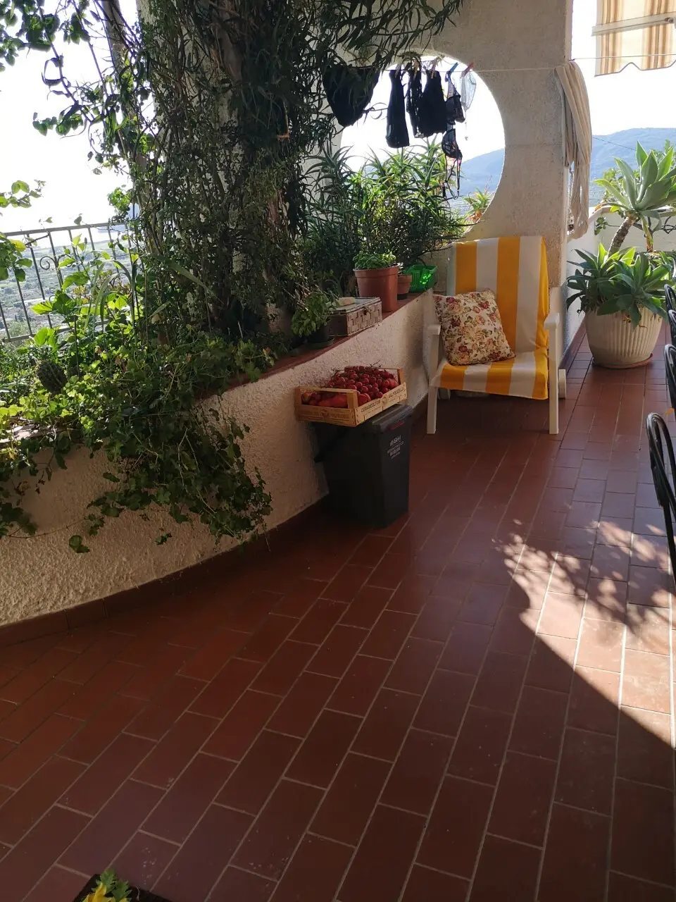 Immagine per Terratetto in vendita a Luni via Per Nicola 24