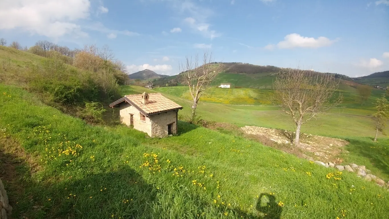 Immagine per Rustico in vendita a Zocca via Mattioli 661