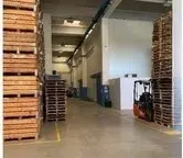 Immagine per Industriale in asta a Castelnuovo Scrivia strada Molina 36