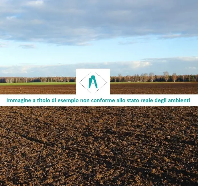 Immagine per Industriale in asta a Alessandria strada Acqui Cantalupo snc