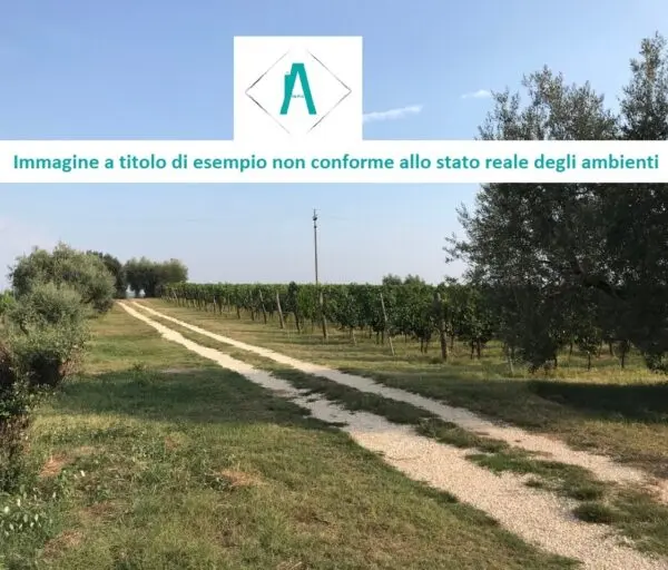 Industriale strada Acqui Cantalupo Snc, Alessandria