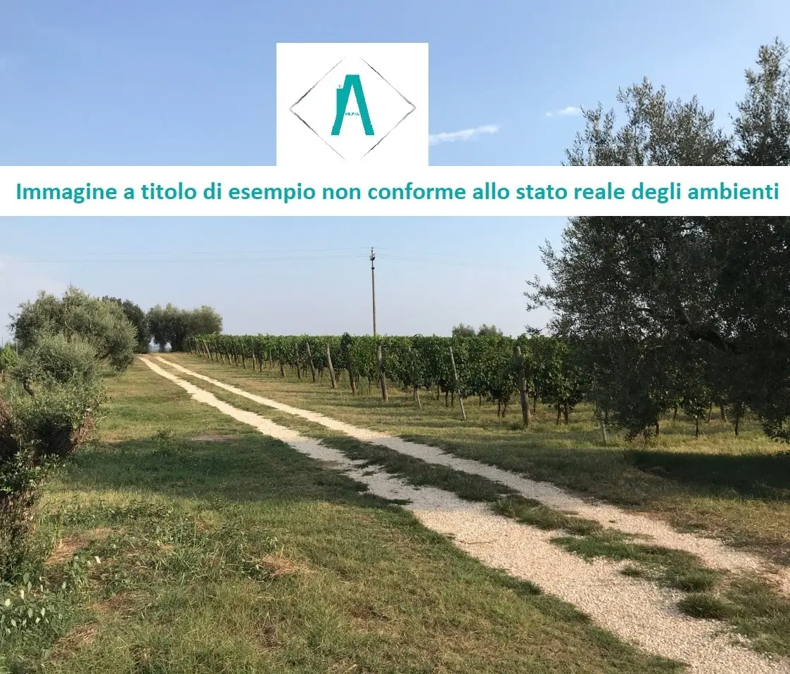 Immagine per Industriale in asta a Alessandria strada Acqui Cantalupo snc