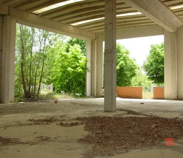 Immagine per Industriale in asta a Alessandria strada Acqui Cantalupo snc