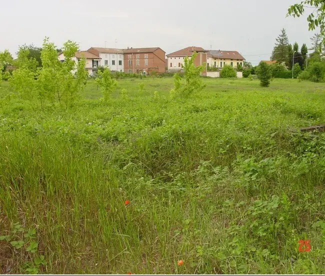 Immagine per Industriale in asta a Alessandria strada Acqui Cantalupo snc