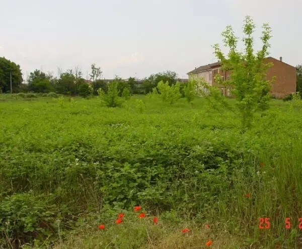 Industriale strada Acqui Cantalupo Snc, Alessandria