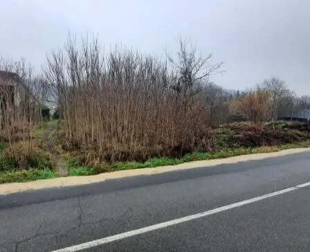 Immagine per Industriale in asta a Strevi via Regione Fontane snc