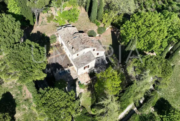 Casale via Degli Ulivi 16, Baschi