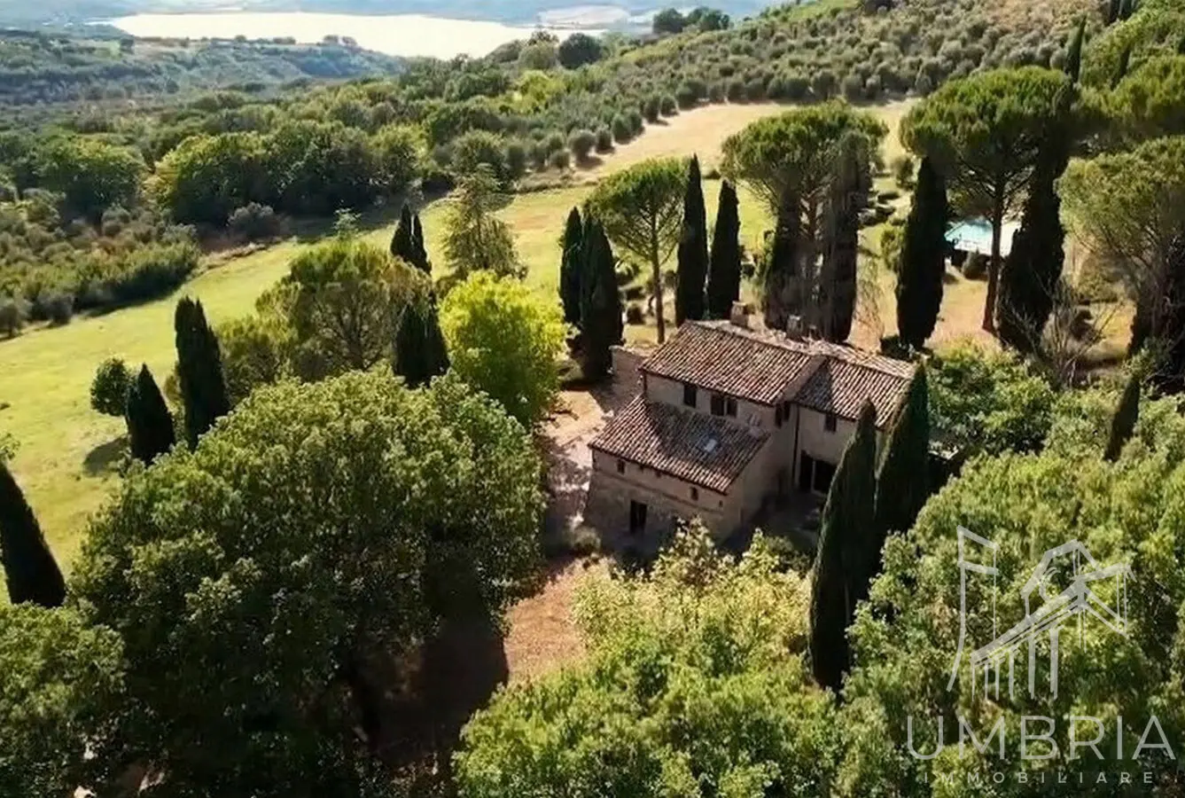 Immagine per Casale in vendita a Baschi via Degli Ulivi 16