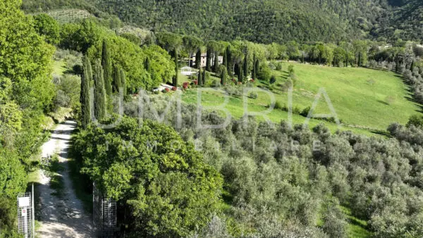 Casale via Degli Ulivi 16, Baschi