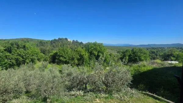 Villa 1, Baschi