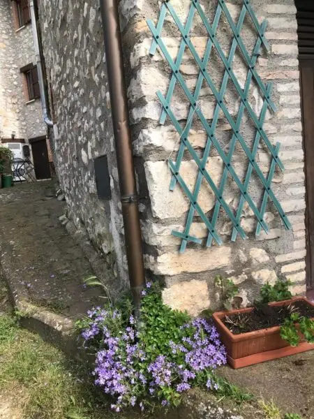Porzione Di Casa via Dante Alighieri, Guardea