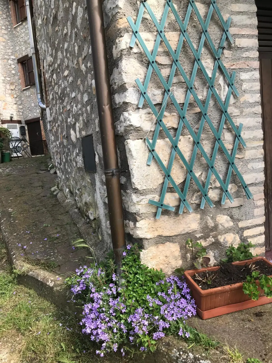 Immagine per Porzione di casa in vendita a Guardea via Localita Cocciano