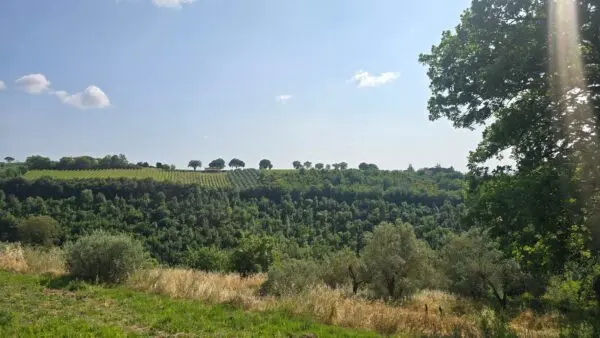 Casale via Vocabolo Poggio Del Pianello 9, Baschi