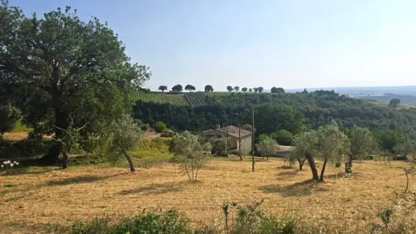 Casale via Vocabolo Poggio Del Pianello 9, Baschi