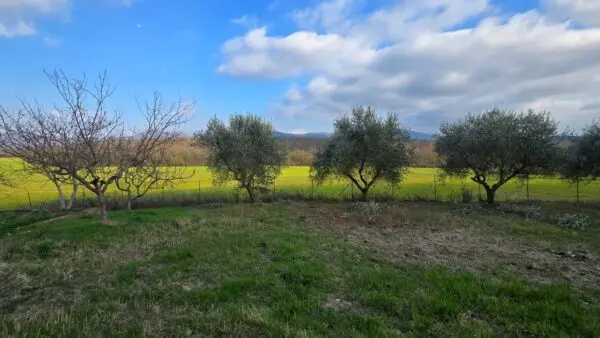 Casale via Giacomo Matteotti 2, Acquasparta